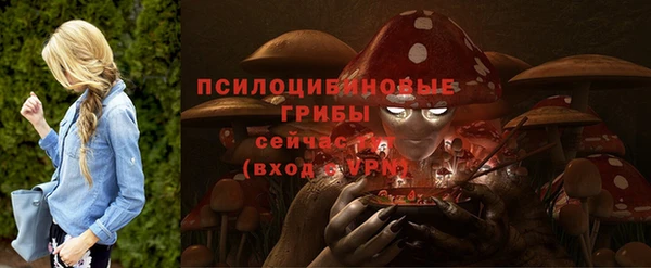 a pvp Абаза